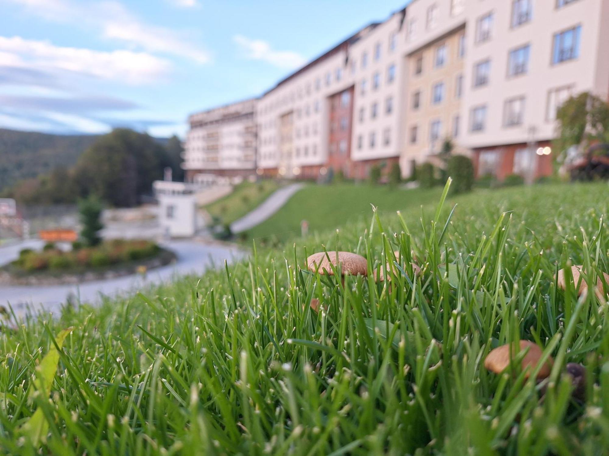 Vistanova Milmari S33 Apartment Kopaonik Luaran gambar